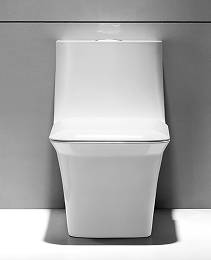 坐便器 AB1295
